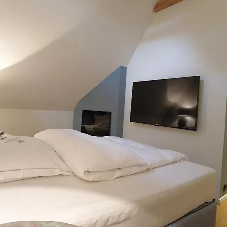 Gut Thansen מלון Soderstorf